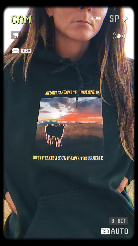 Prairie > Mountains